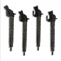 Land Rover Freelander 2.2 TD4 4x4 118 kW 160 HP BOSCH Vstreky Použité