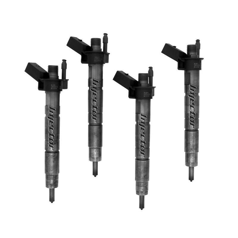 13537809190 BOSCH Vstreky použité