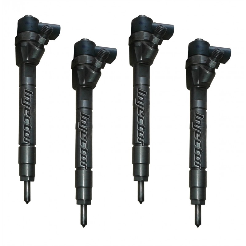 0445110069 BOSCH Vstreky použité