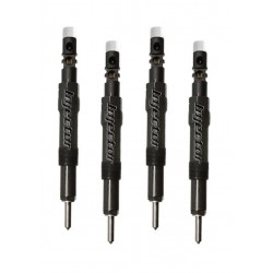 Jaguar X-type 2.2 D 114 kW 155 HP DELPHI Vstreky